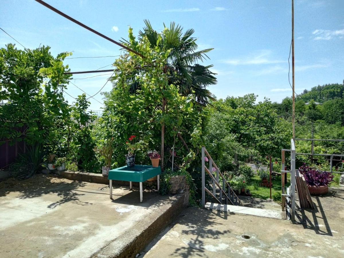 Nunu'S Guesthouse Tskaltubo Ngoại thất bức ảnh